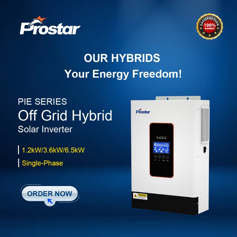 【2026】3.6kw 12V 24V 48V Pure S - Renewable Energy Grid ulasan dan harga